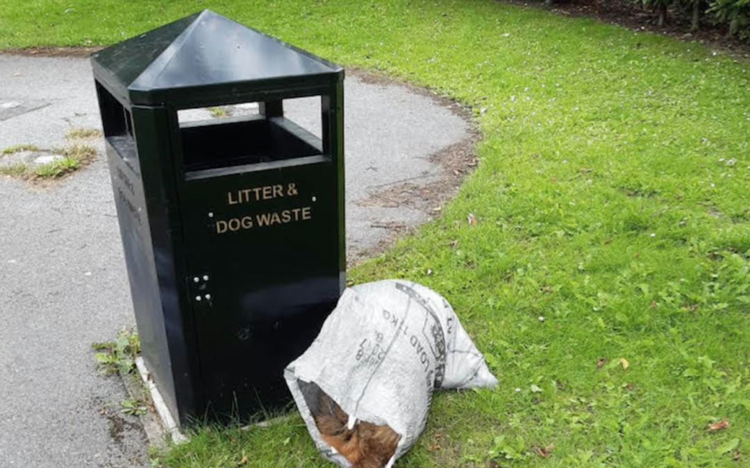 Appeal For Information After Dog’s Body Found Dumped In Park