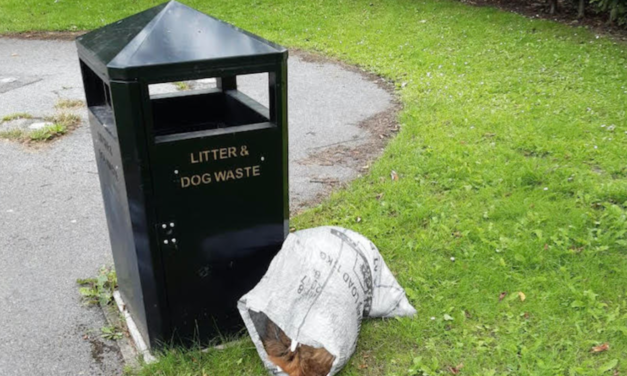 Appeal For Information After Dog’s Body Found Dumped In Park