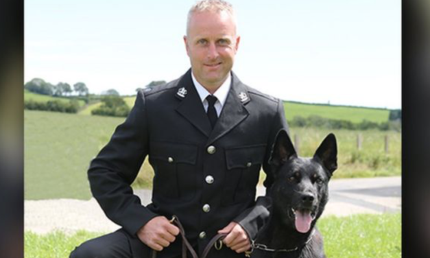 Police Dog Finds Missing Mother And Her Baby On His First Working Day