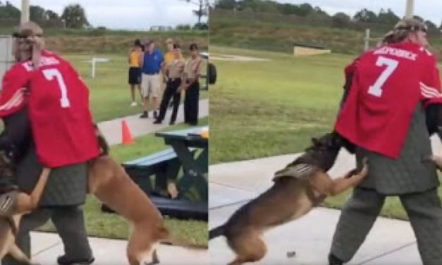 An Investigation Has Been Launched After Video Shows Military Dogs Attacking Colin Kaepernick’s Stand-In