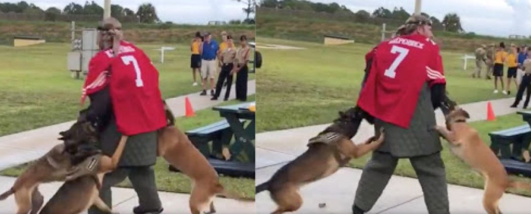 An Investigation Has Been Launched After Video Shows Military Dogs Attacking Colin Kaepernick’s Stand-In