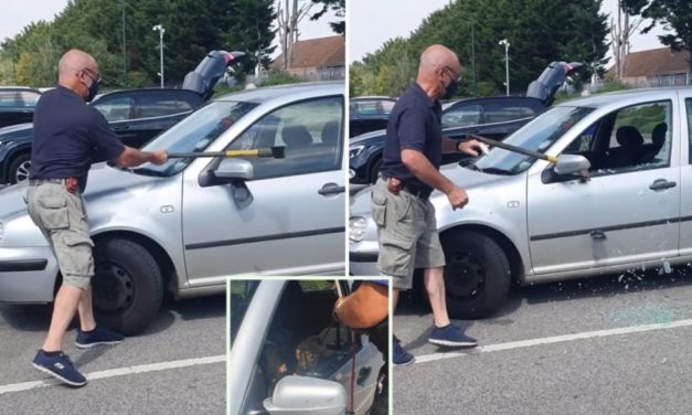 A Man Smashes Window To Rescue A Dog Trapped Inside A Car in 34C Heatwave