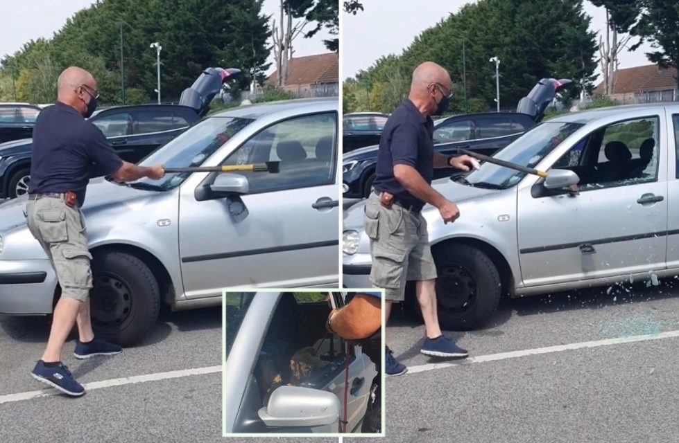 A Man Smashes Window To Rescue A Dog Trapped Inside A Car in 34C Heatwave