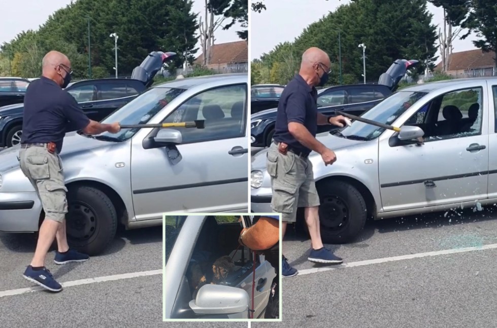 A Man Smashes Window To Rescue A Dog Trapped Inside A Car in 34C Heatwave