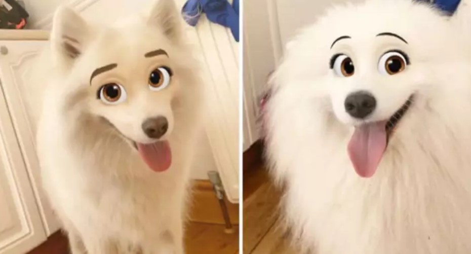 New Snapchat Filter That Makes Your Dog Look Like a Disney Character