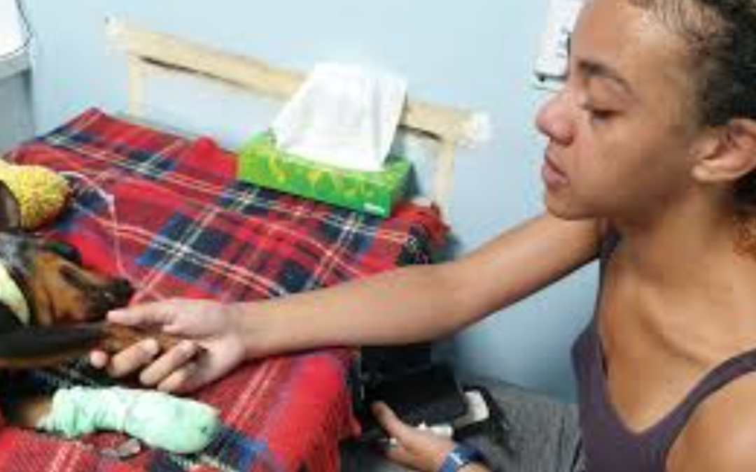 A Teenage Girl Begs For Help After Her Beloved Dog Was Attacked By Another Dog