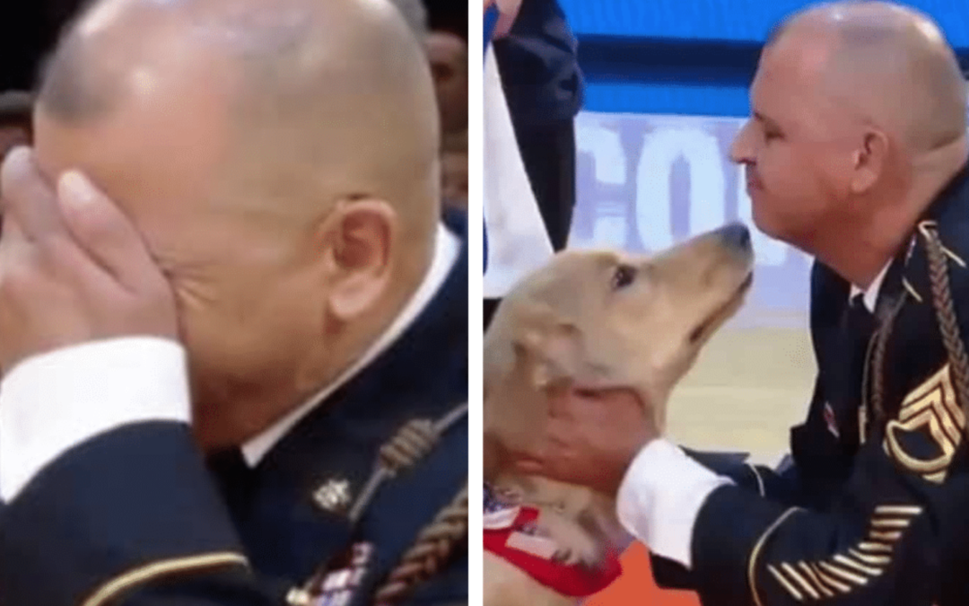 Veteran Gets Surprised With A Service Dog During A Basketball Game