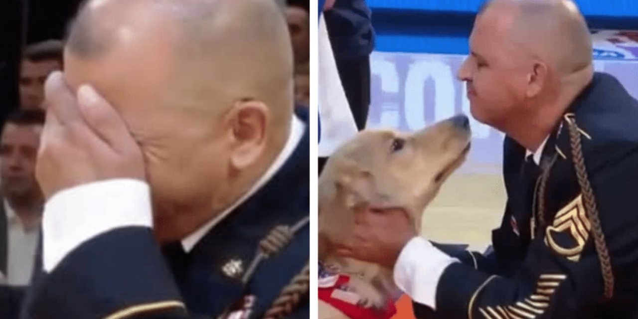 Veteran Gets Surprised With A Service Dog During A Basketball Game
