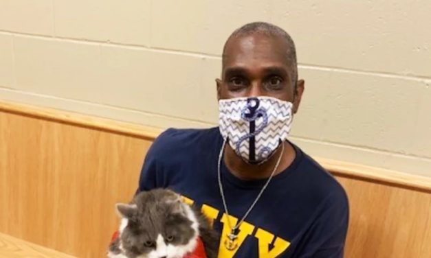 Man Reunites With Lost Cat While Looking for a New Pet in Maine Animal Shelter