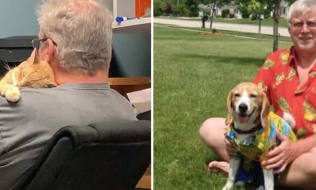 40+ Dads Who Were Against Getting Pets, But Ended Up Falling In Love With Them