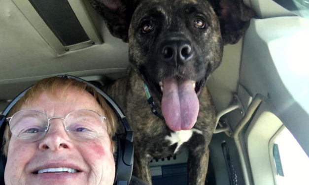 Flying dogs to their forever homes