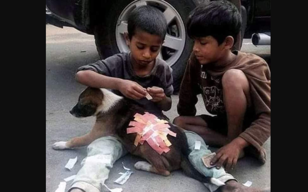Two Little Boys Help An Injured Puppy, Twitter Users Labeled Them As ‘Indian Kings’