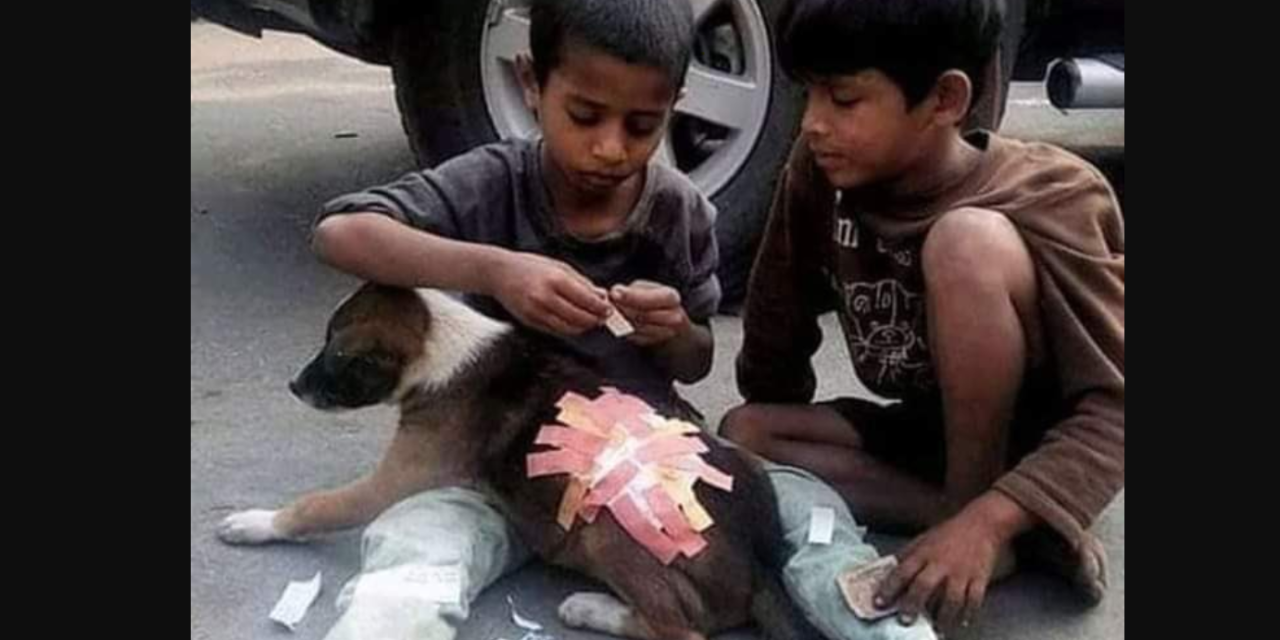 Two Little Boys Help An Injured Puppy, Twitter Users Labeled Them As ‘Indian Kings’