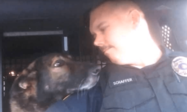 Officer Honors K-9 Partner After 8 Years Of Service With A Final Radio Call