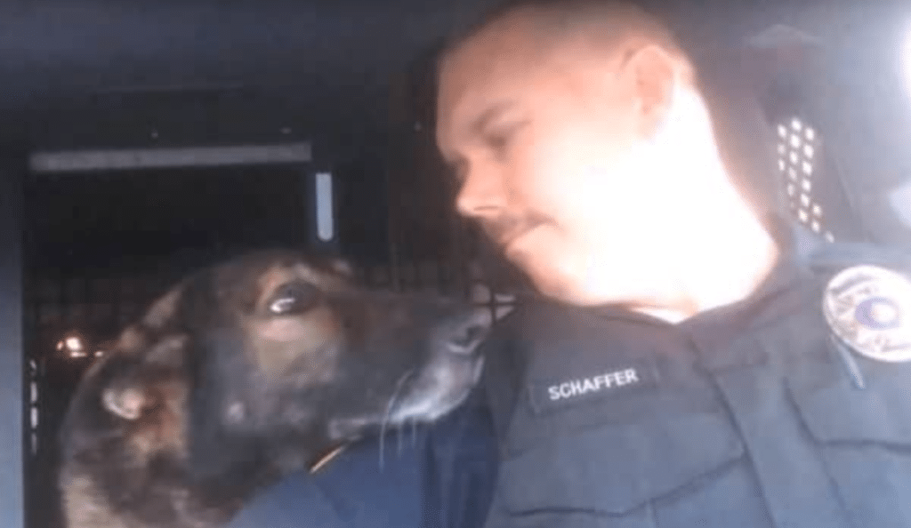 Officer Honors K-9 Partner After 8 Years Of Service With A Final Radio Call