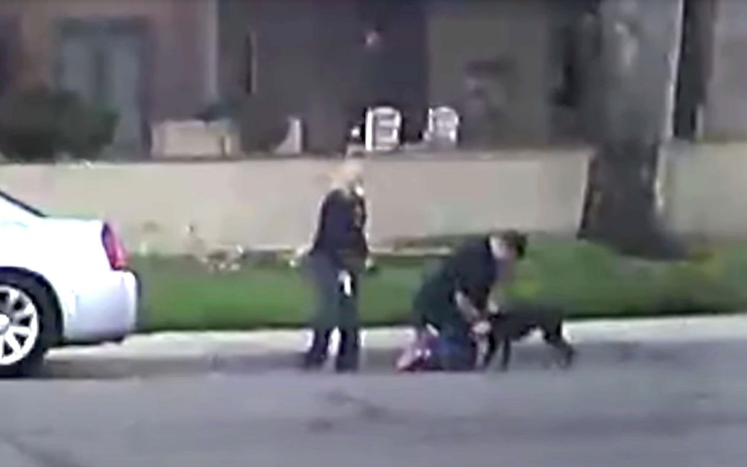 A Couple Shoot and Killed A Dog In Broad Daylight And Police Are Searching For Them