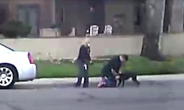 A Couple Shoot and Killed A Dog In Broad Daylight And Police Are Searching For Them
