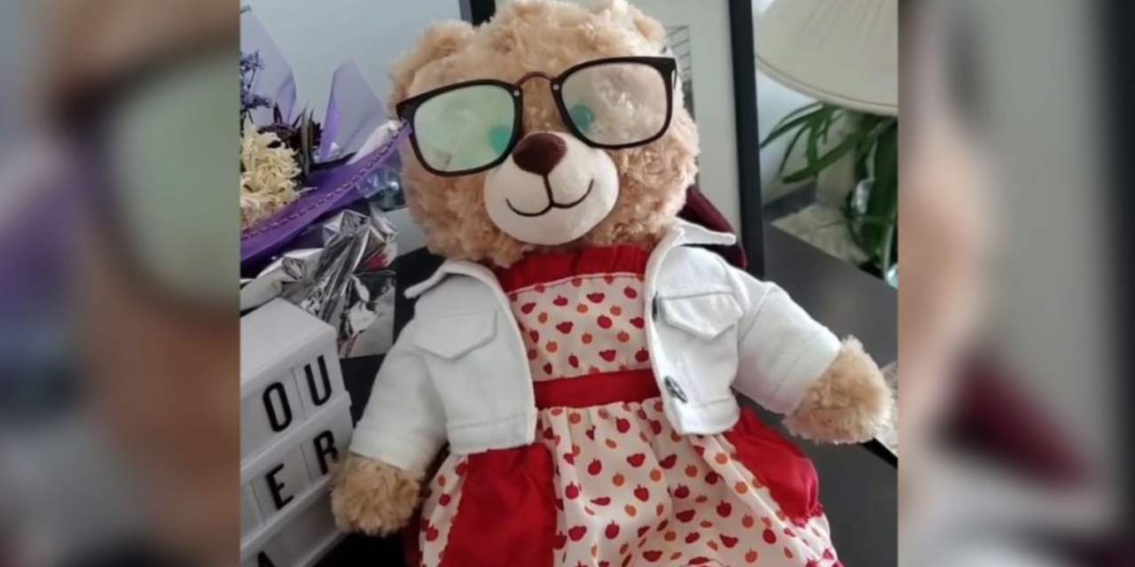 Stolen Teddy Bear With Dead Mother’s Voice Returned to Daughter After A Reward Was Offered