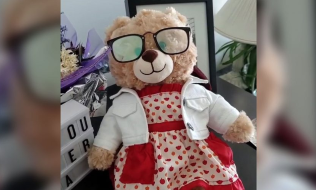 Stolen Teddy Bear With Dead Mother’s Voice Returned to Daughter After A Reward Was Offered