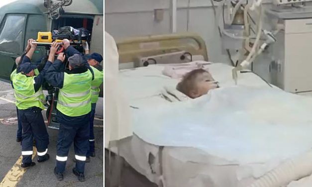 Boy, 2, is fighting for life after dogs ripped off his genitals while parents were celebrating his birthday in Ukraine
