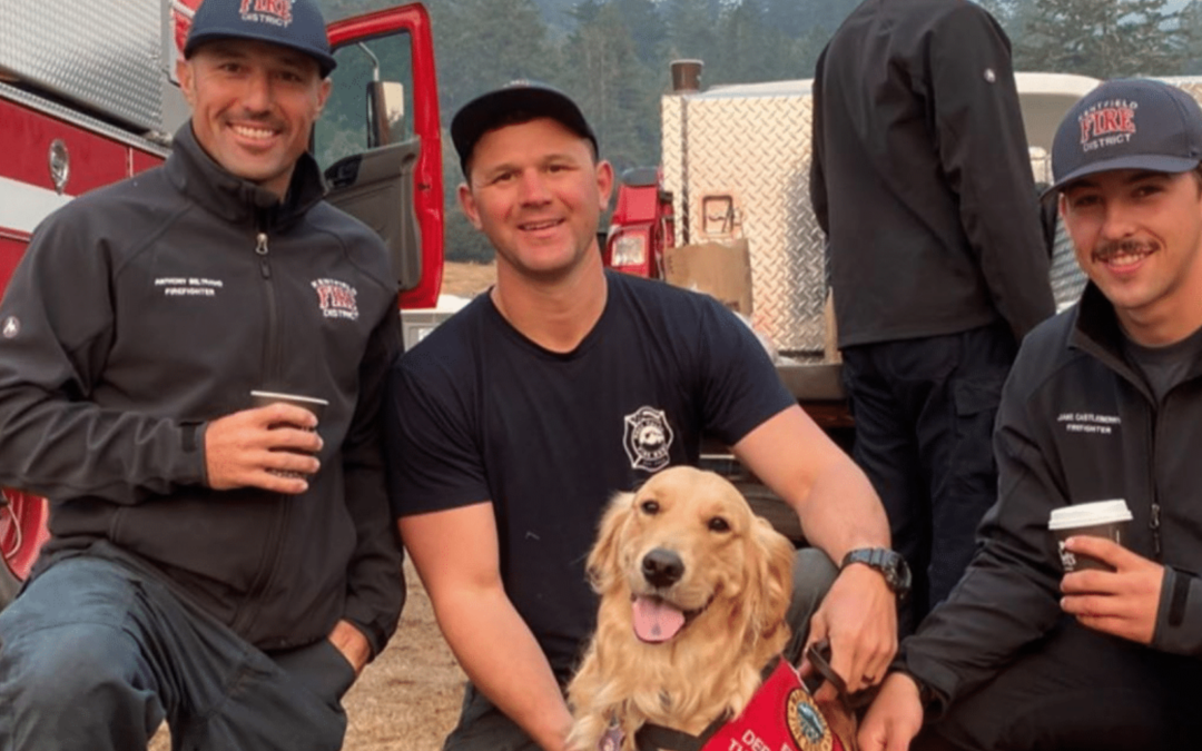 Therapy Dog Provides Comfort To Firefighters Battling The California Wildfires