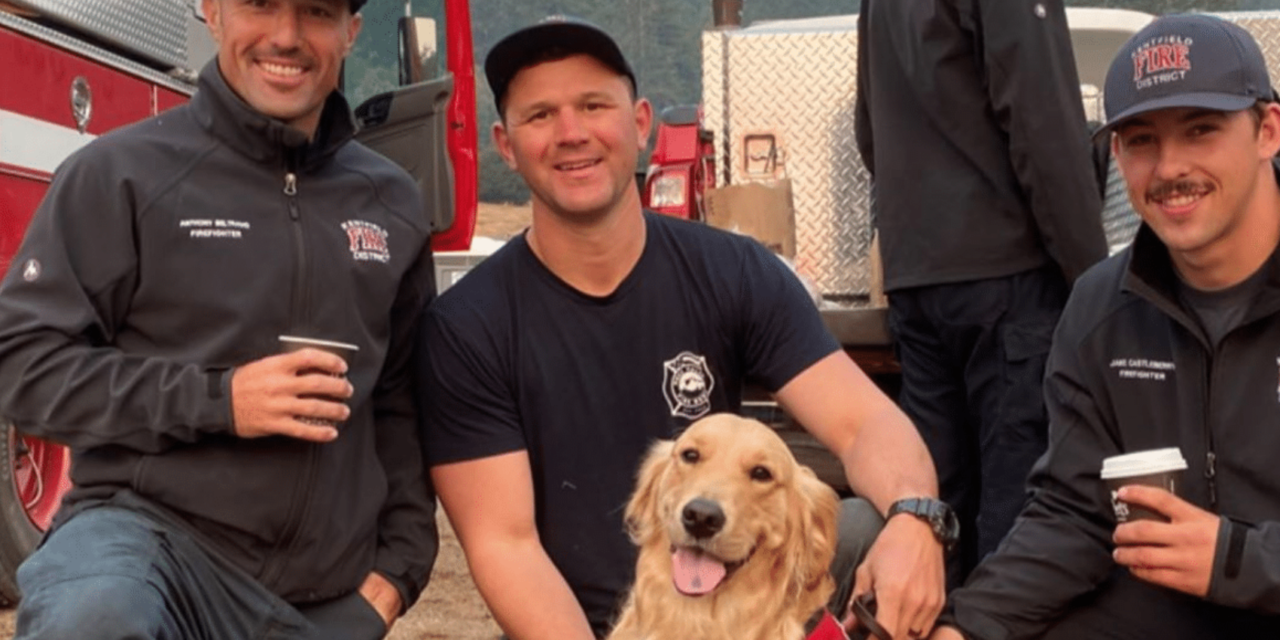 Therapy Dog Provides Comfort To Firefighters Battling The California Wildfires