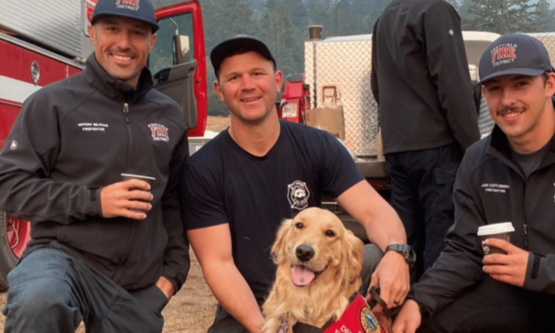 Therapy Dog Provides Comfort To Firefighters Battling The California Wildfires