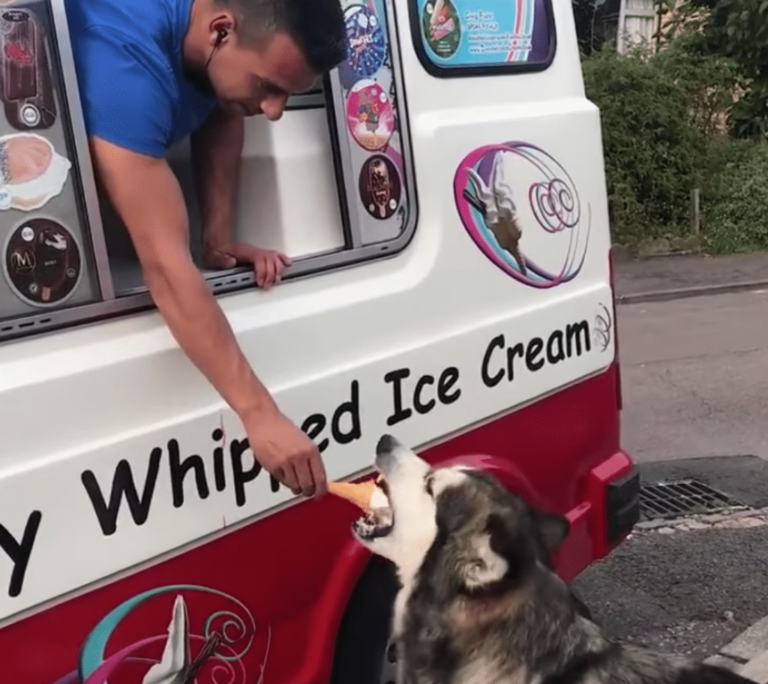 Happiness is indescribable, especially when it comes to creamy ice cream.