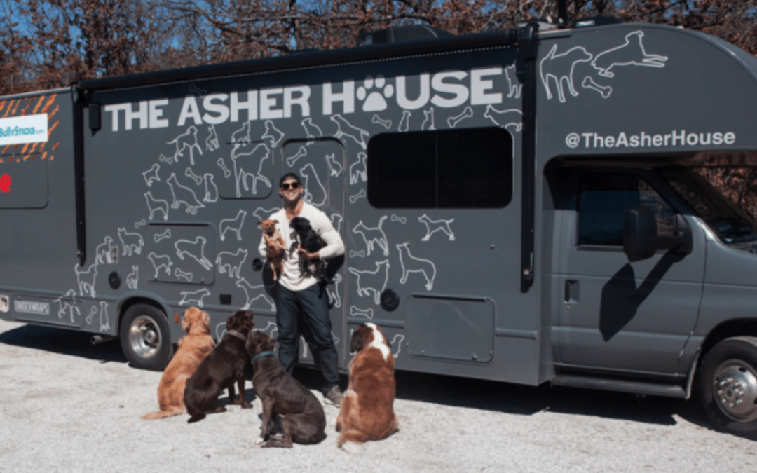 Man Decided To Quit His Job In Order To Travel The Country And Save Shelter Dogs