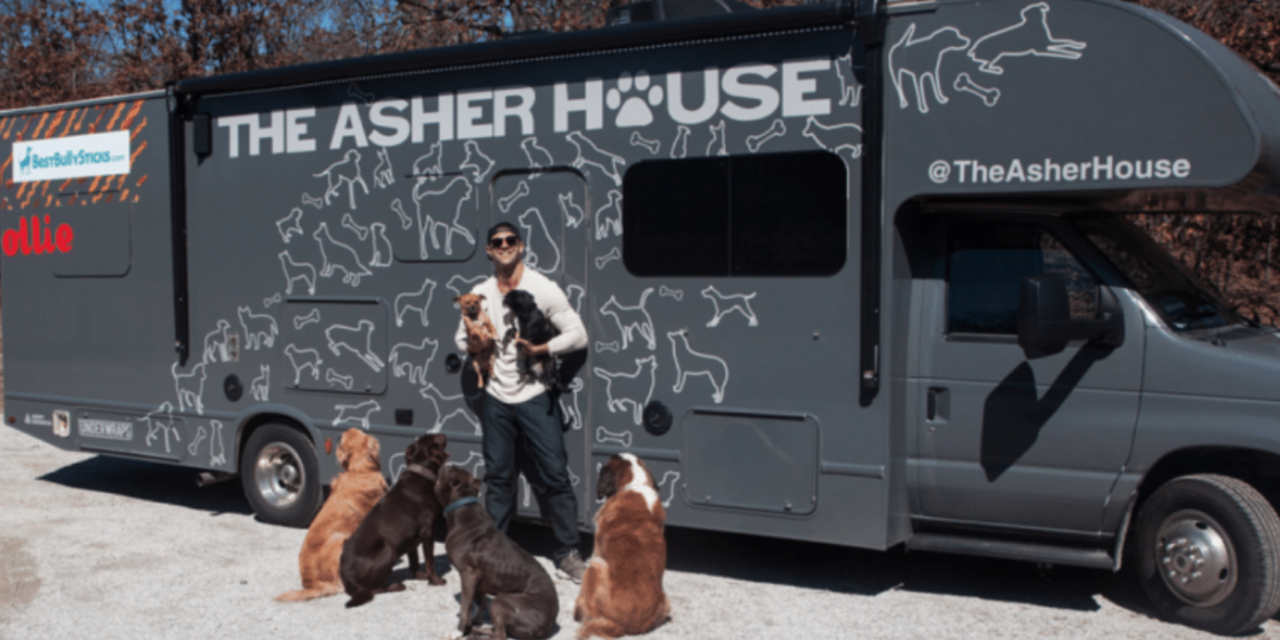 Man Decided To Quit His Job In Order To Travel The Country And Save Shelter Dogs