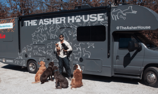 Man Decided To Quit His Job In Order To Travel The Country And Save Shelter Dogs