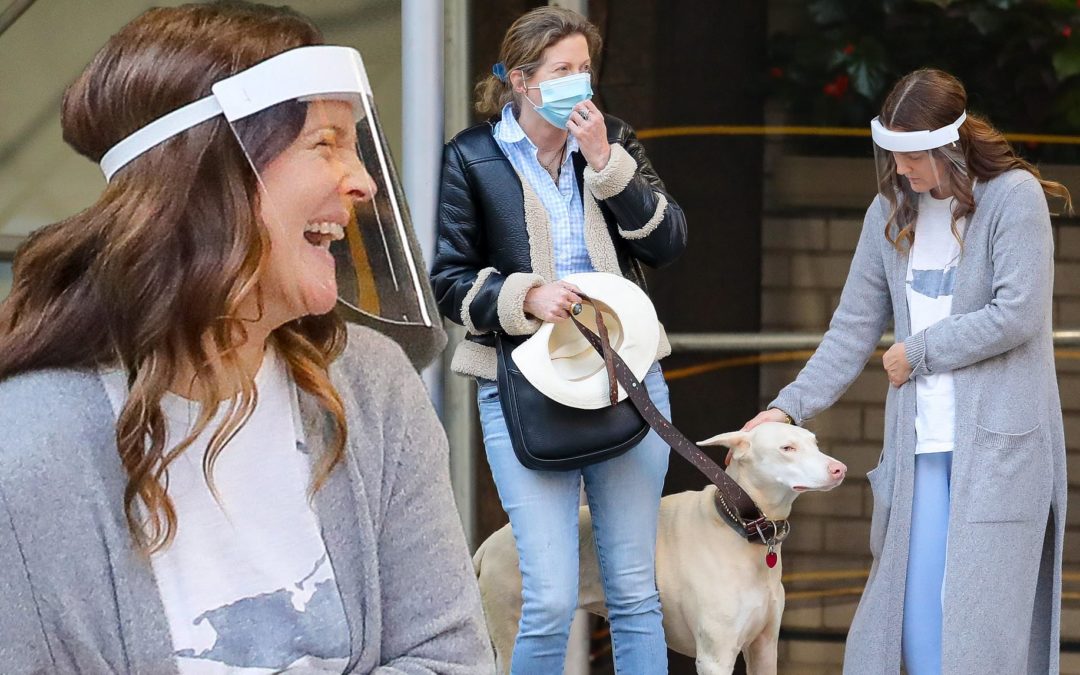 Drew Barrymore Saves A Dog That Was Hit By A Car In New York
