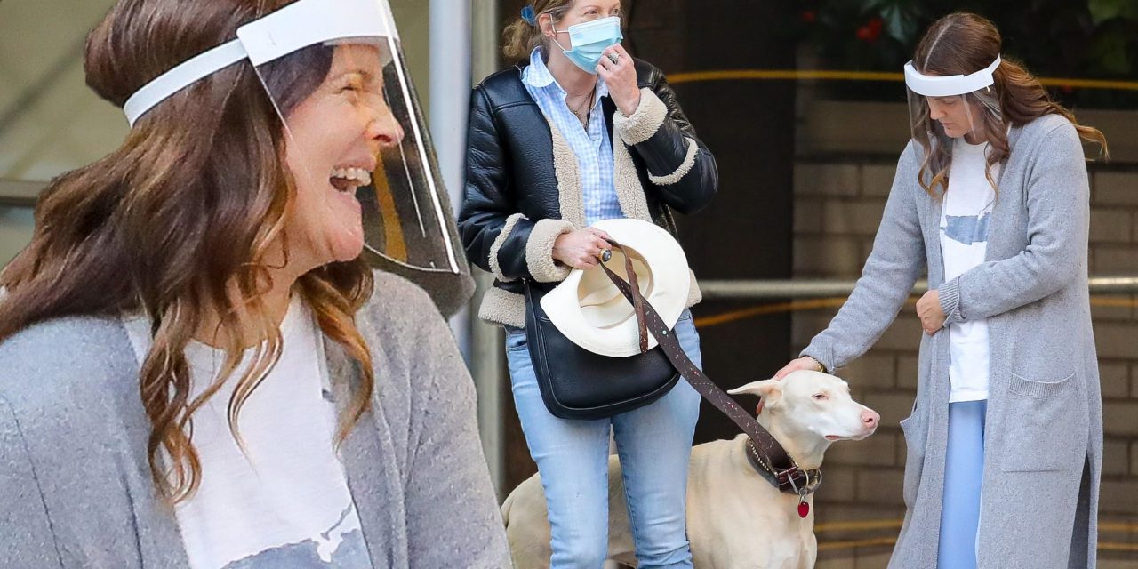 Drew Barrymore Saves A Dog That Was Hit By A Car In New York