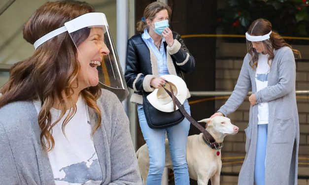 Drew Barrymore Saves A Dog That Was Hit By A Car In New York