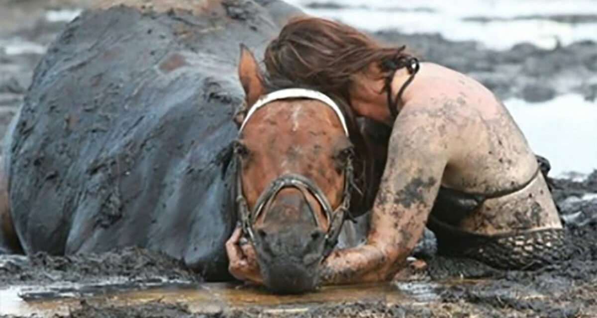 A Horse Gets Stuck In Mud And His Owner Hold On To Him For Three Hours