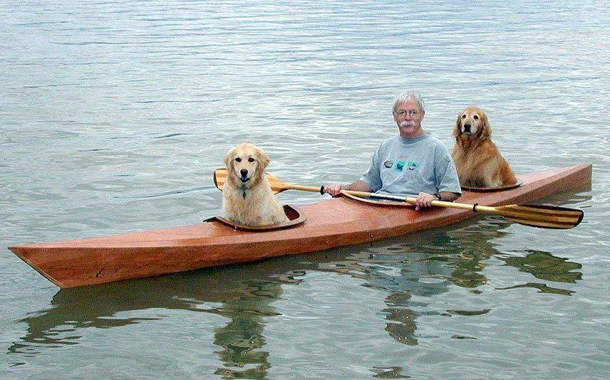 Man Builds A Customized Dog-Friendly Kayak