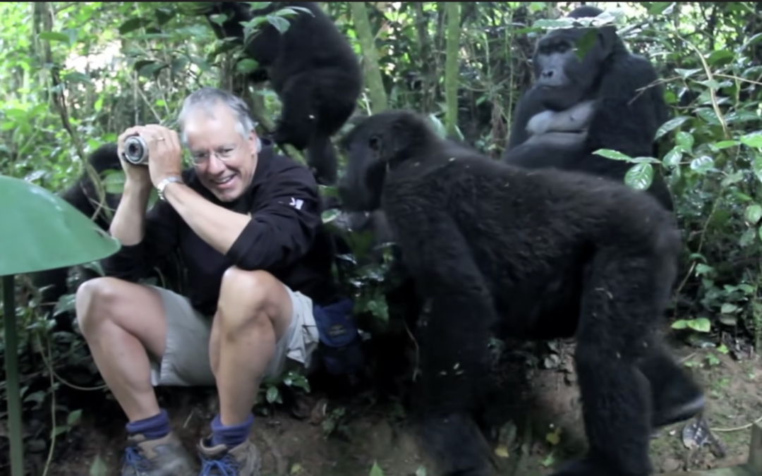 Man Has Once-In-A-Lifetime Experience With a Family Of Wild Mountain Gorillas