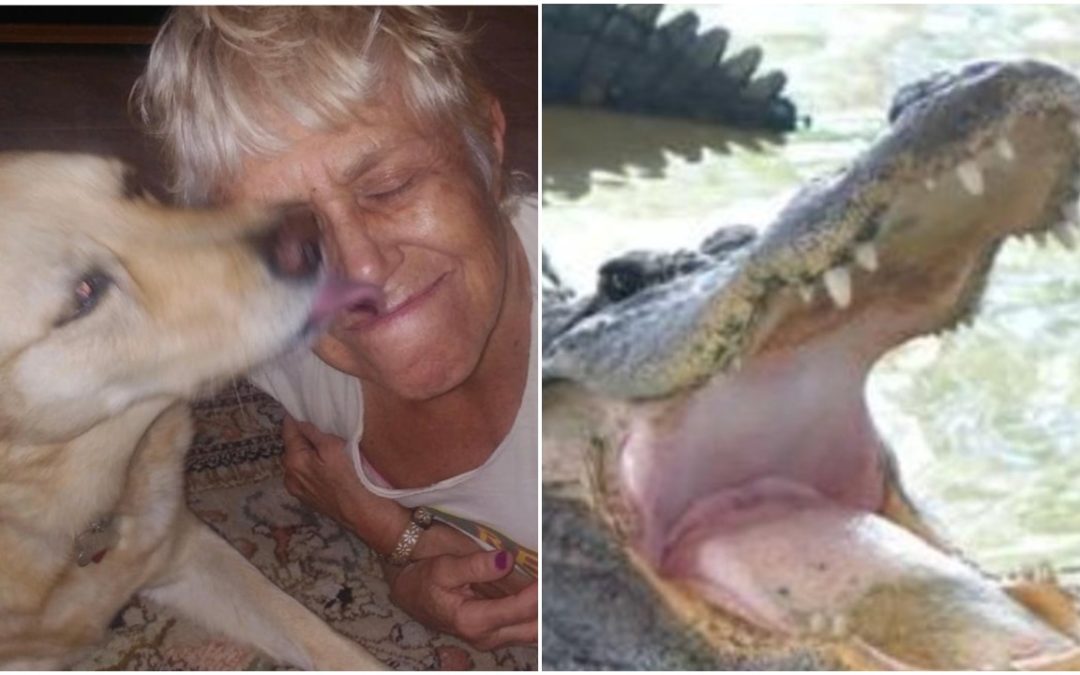 74-Year-Old Woman Jumps Into Water To Save Her Dog From Alligator