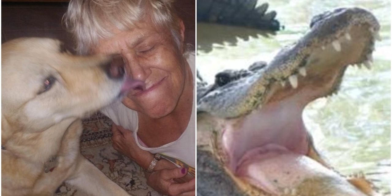 74-Year-Old Woman Jumps Into Water To Save Her Dog From Alligator