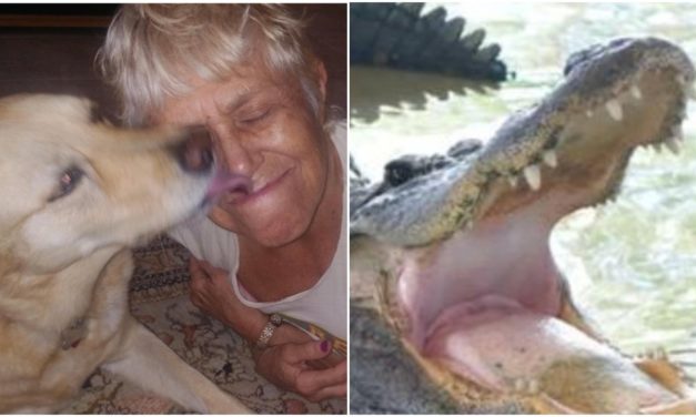 74-Year-Old Woman Jumps Into Water To Save Her Dog From Alligator