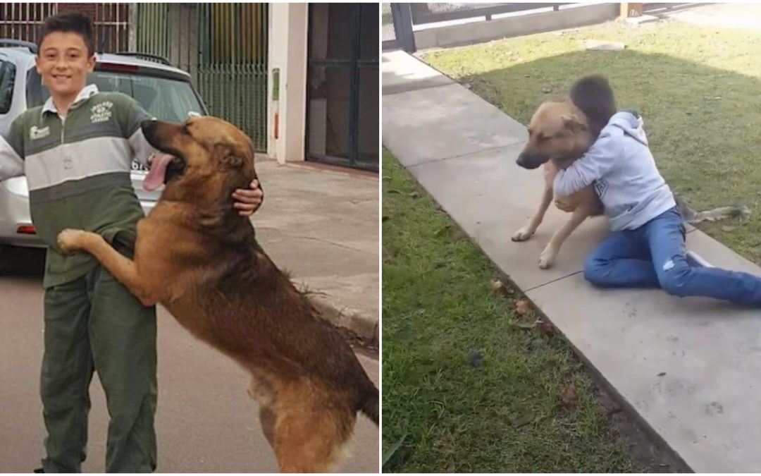 Boy Emotionally Reunites With His Missing Dog After Eight Months