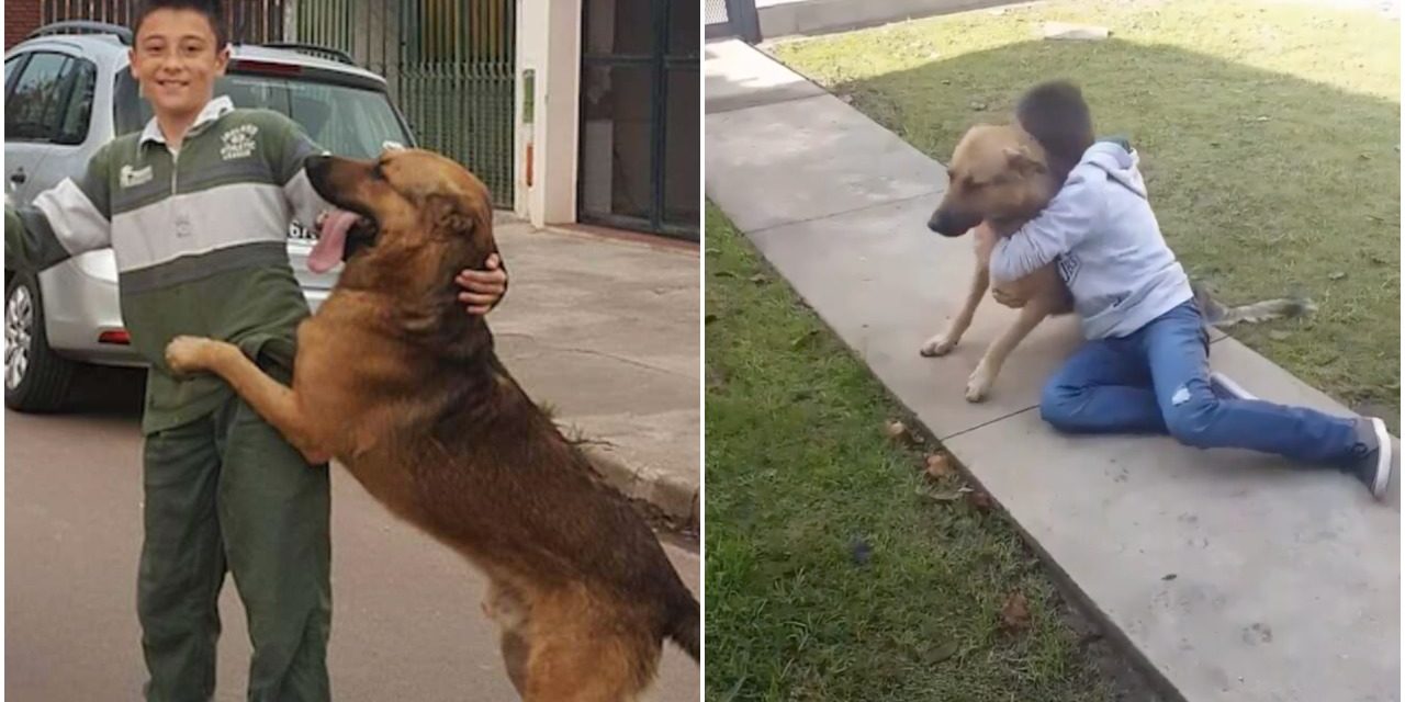 Boy Emotionally Reunites With His Missing Dog After Eight Months