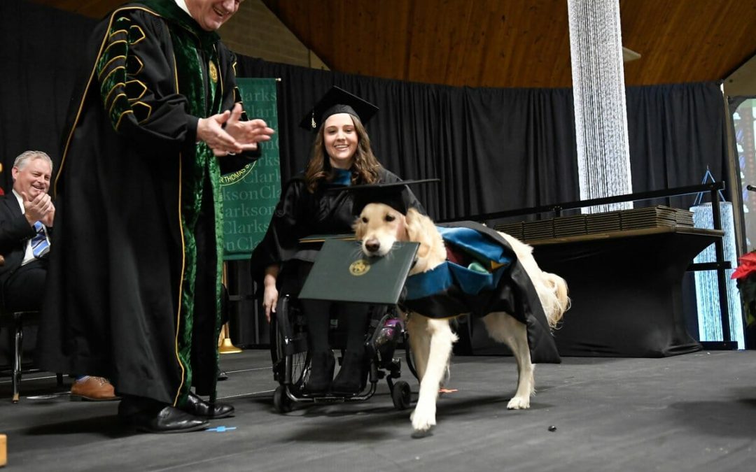 Service Dog Graduates From Grad School Together With Owner