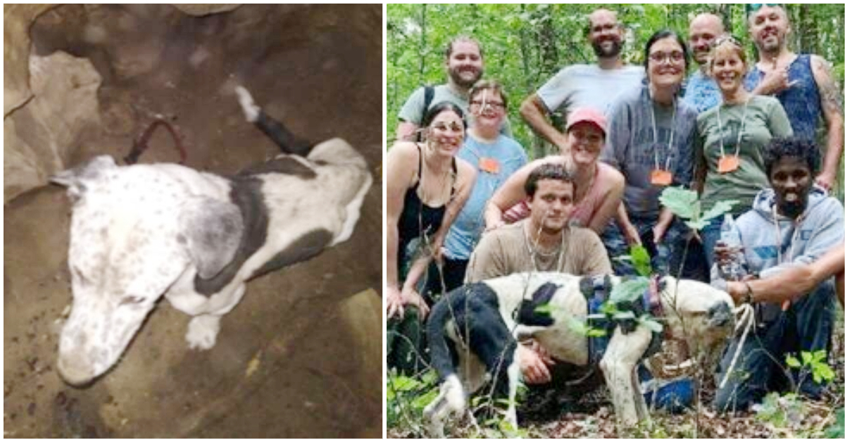 Dog Gets Saved From A 30-Foot Pit