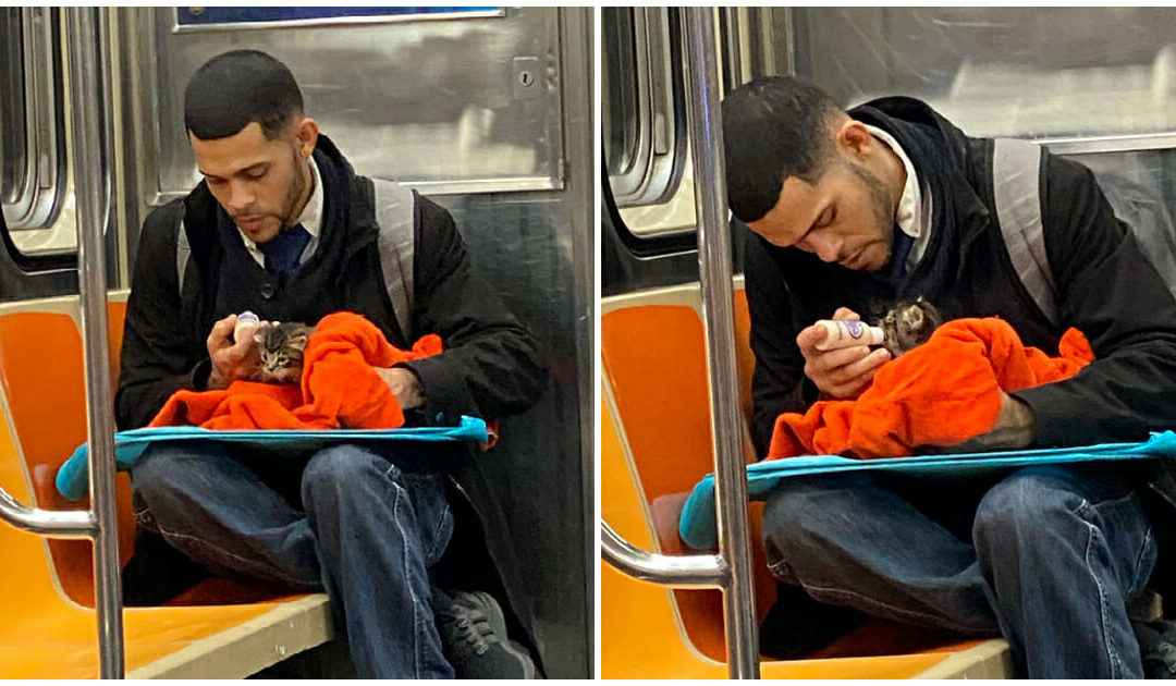 Woman shares a heartwarming photo from the NY subway – quickly goes viral
