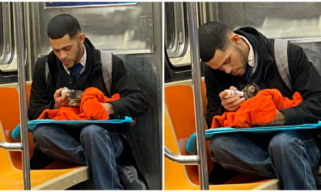 Woman shares a heartwarming photo from the NY subway – quickly goes viral