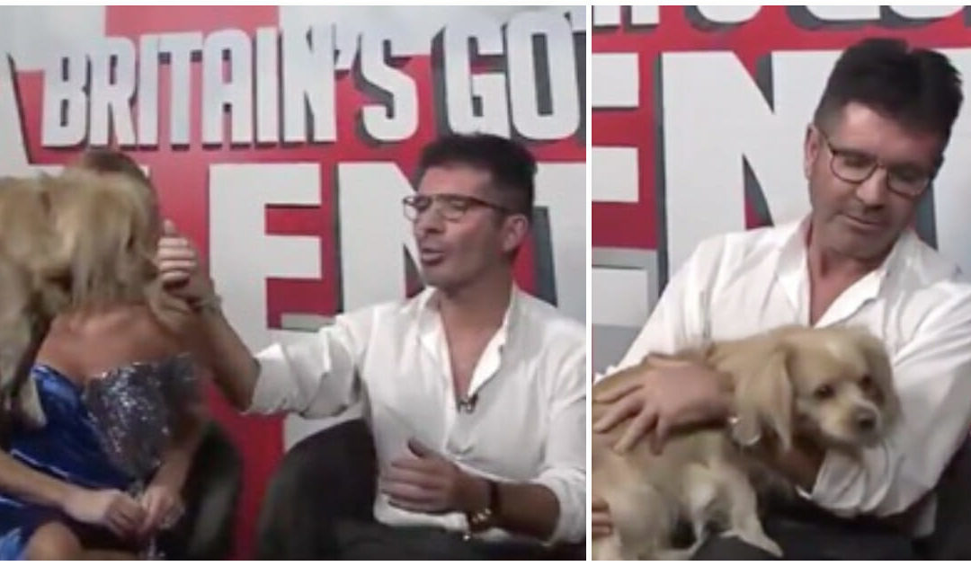 Simon Cowell Gets Surprised With A Very Special Pup