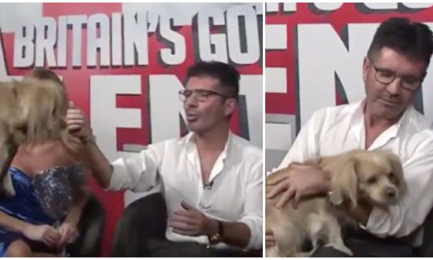 Simon Cowell Gets Surprised With A Very Special Pup