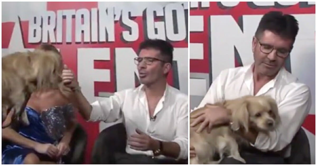 Simon Cowell Gets Surprised With A Very Special Pup