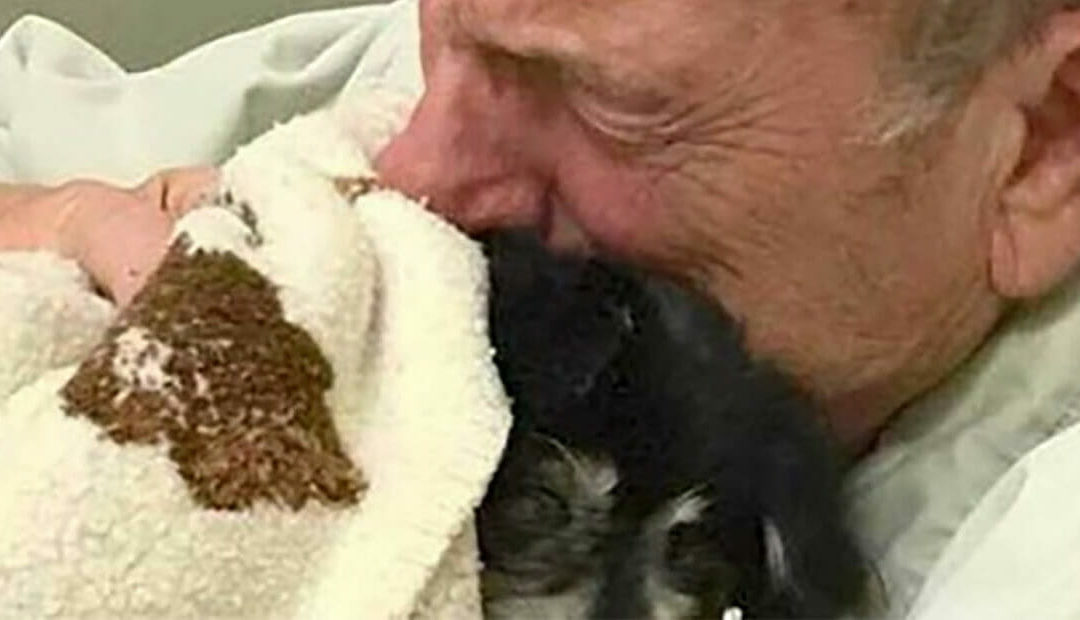 Man dies shortly after his dog of 14 years passed away